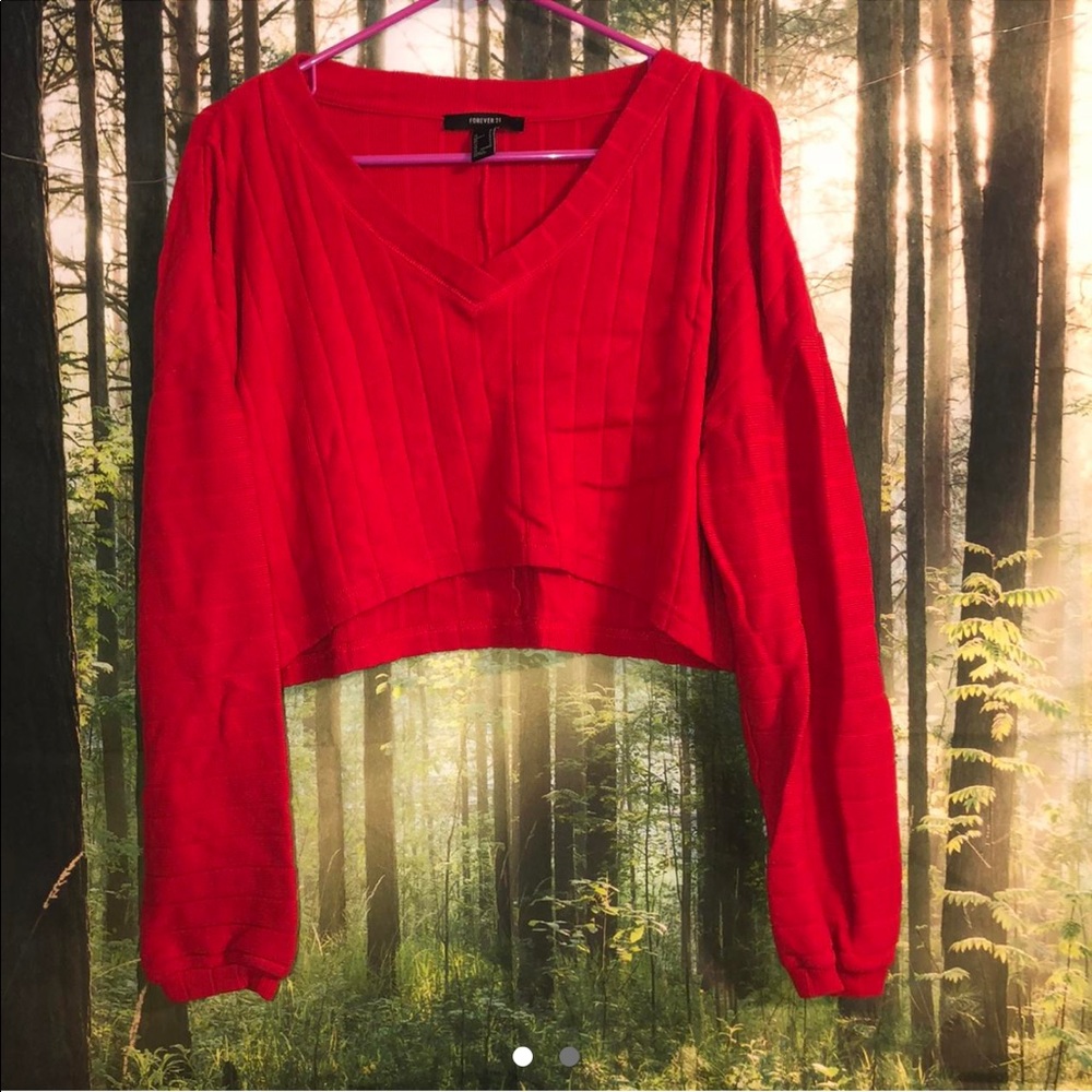 Forever 21 Cropped Sweater
